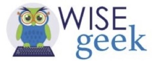 wise geek logo